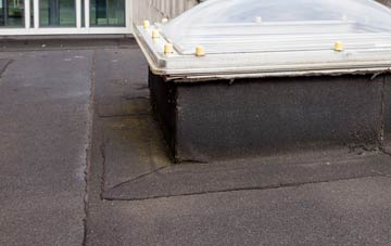 disadvantages of Auchendryne flat roofs